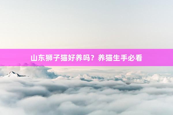 山东狮子猫好养吗？养猫生手必看